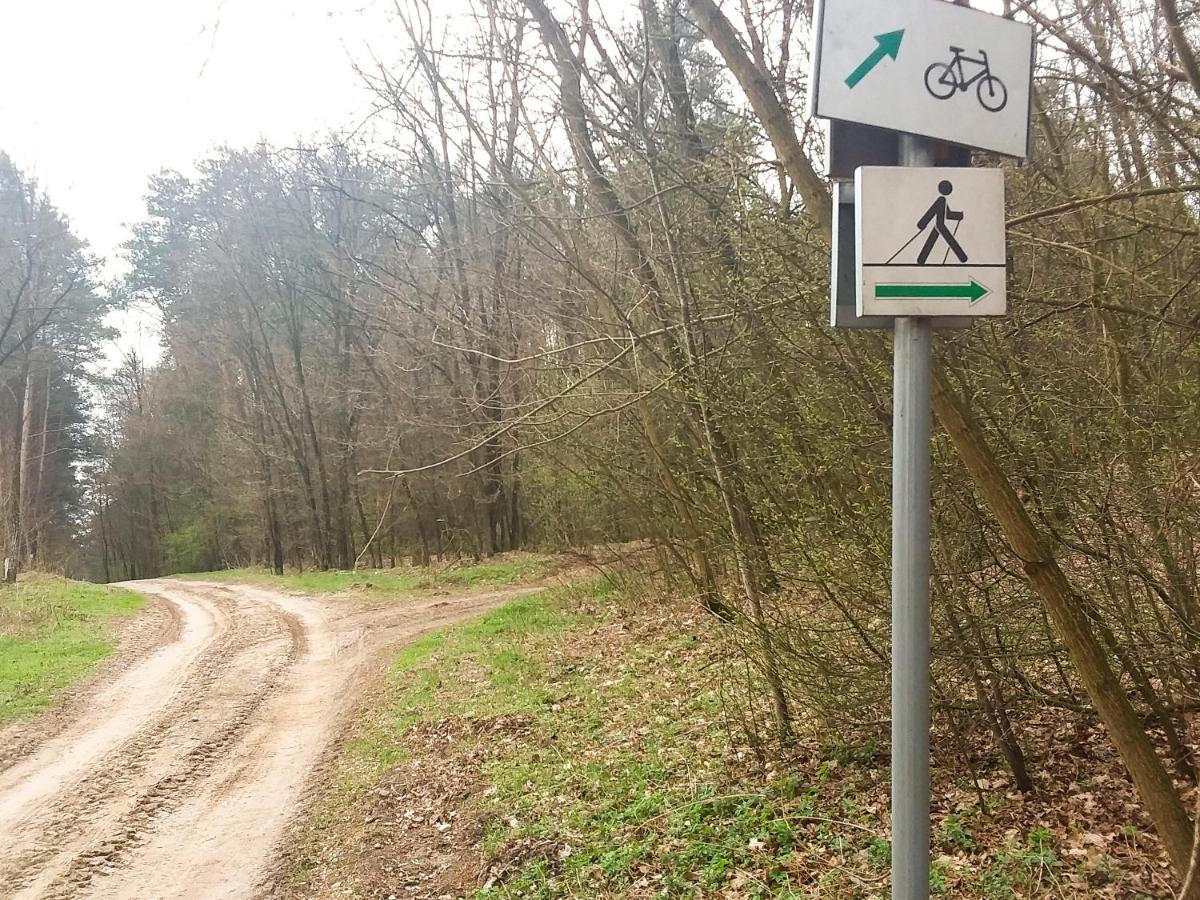 Dworek Akacja Uslugi Hotelarskie Janowiec Esterno foto