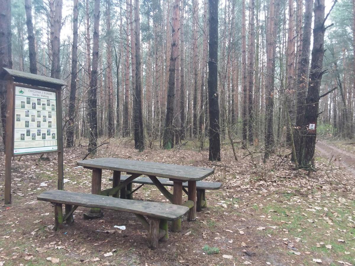 Dworek Akacja Uslugi Hotelarskie Janowiec Esterno foto