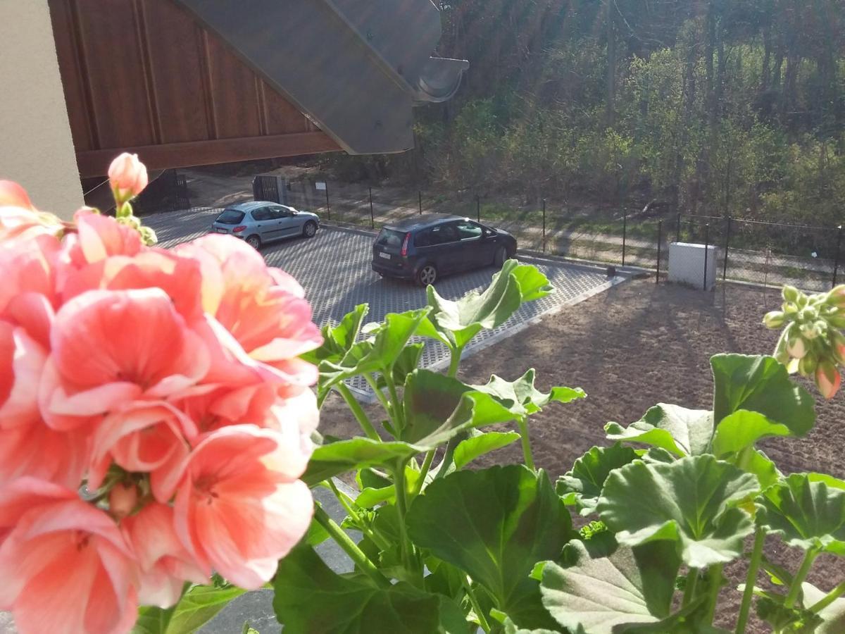 Dworek Akacja Uslugi Hotelarskie Janowiec Esterno foto