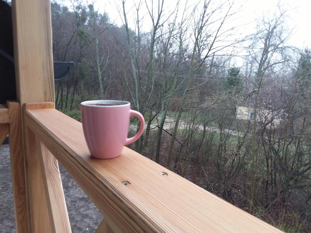 Dworek Akacja Uslugi Hotelarskie Janowiec Esterno foto